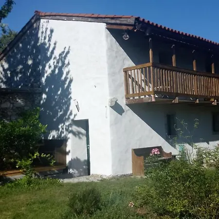 Apartmaji Hedera