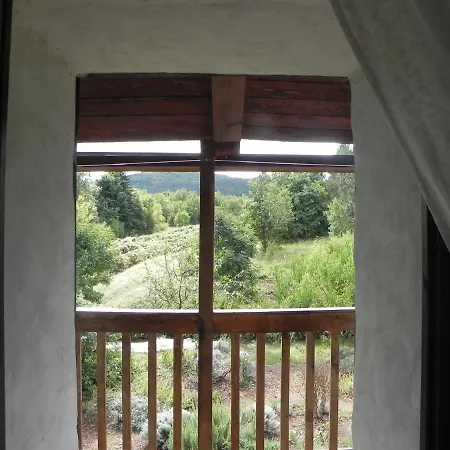Apartmaji Hedera Apartament Komen