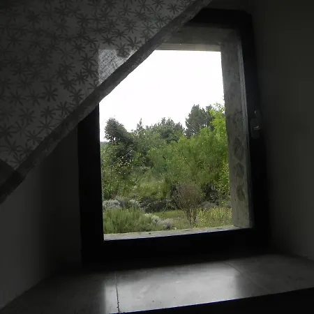 Apartmaji Hedera *