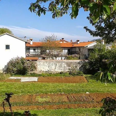Apartmaji Hedera *