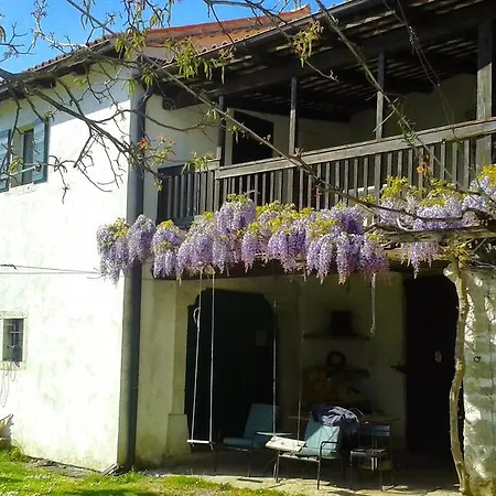 Apartmaji Hedera